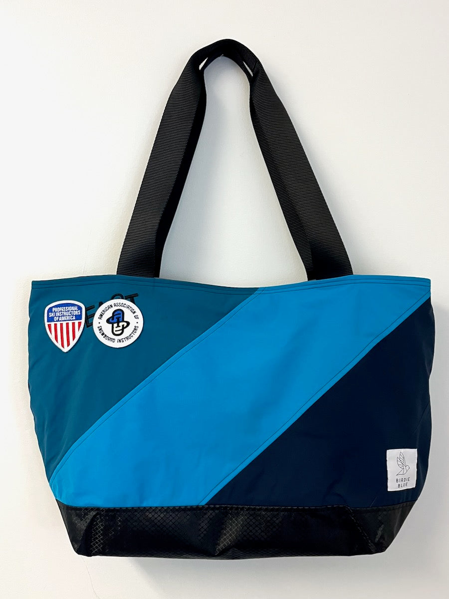 PSIA-AASI Eastern Carry All