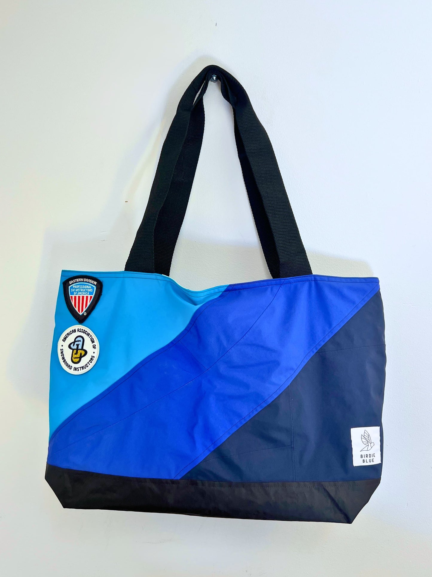 PSIA-AASI Eastern X BirdieBlue Carry All