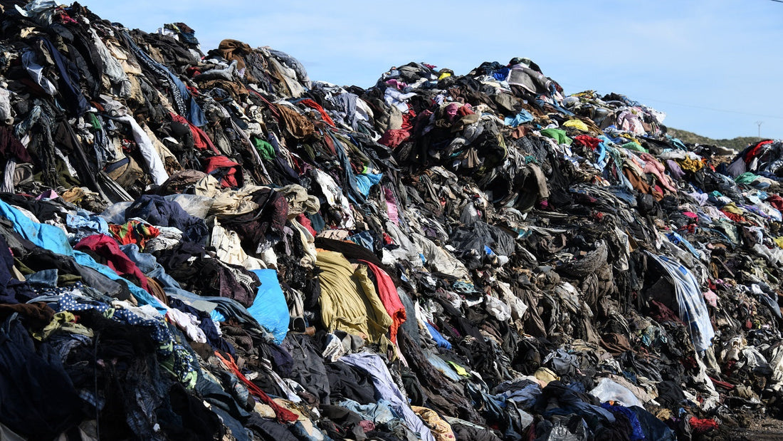 🌎 From Trash to Trail: Celebrating Earth Month with BirdieBlue