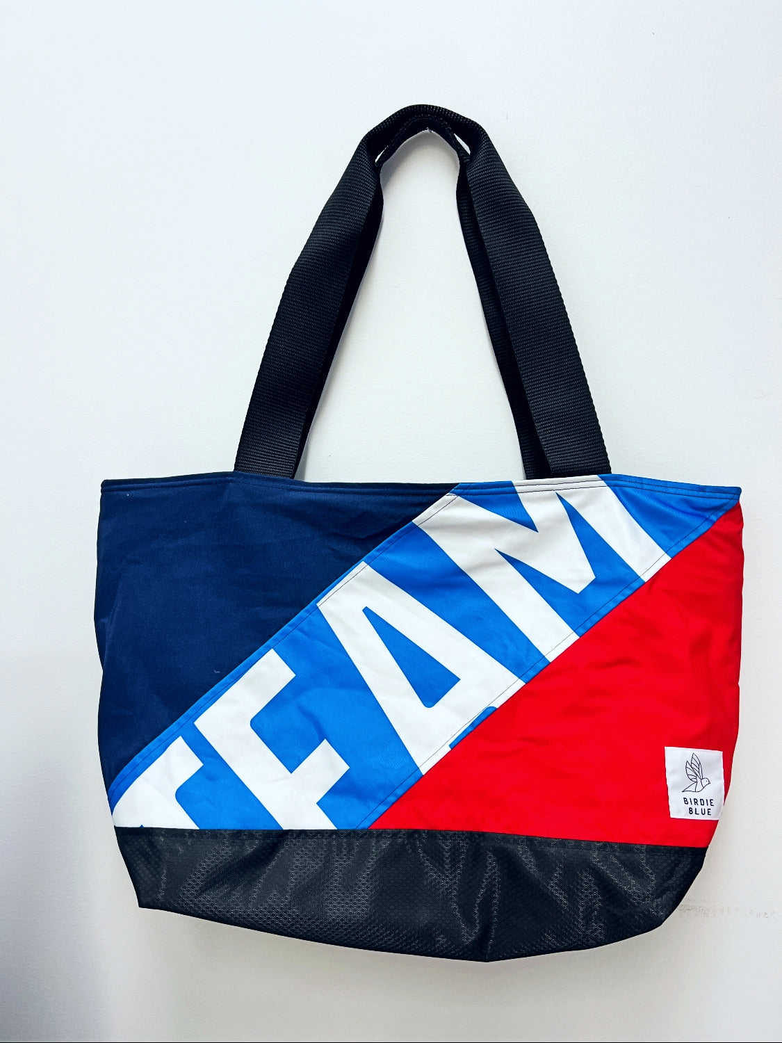 Winter Games Inspired Carry All