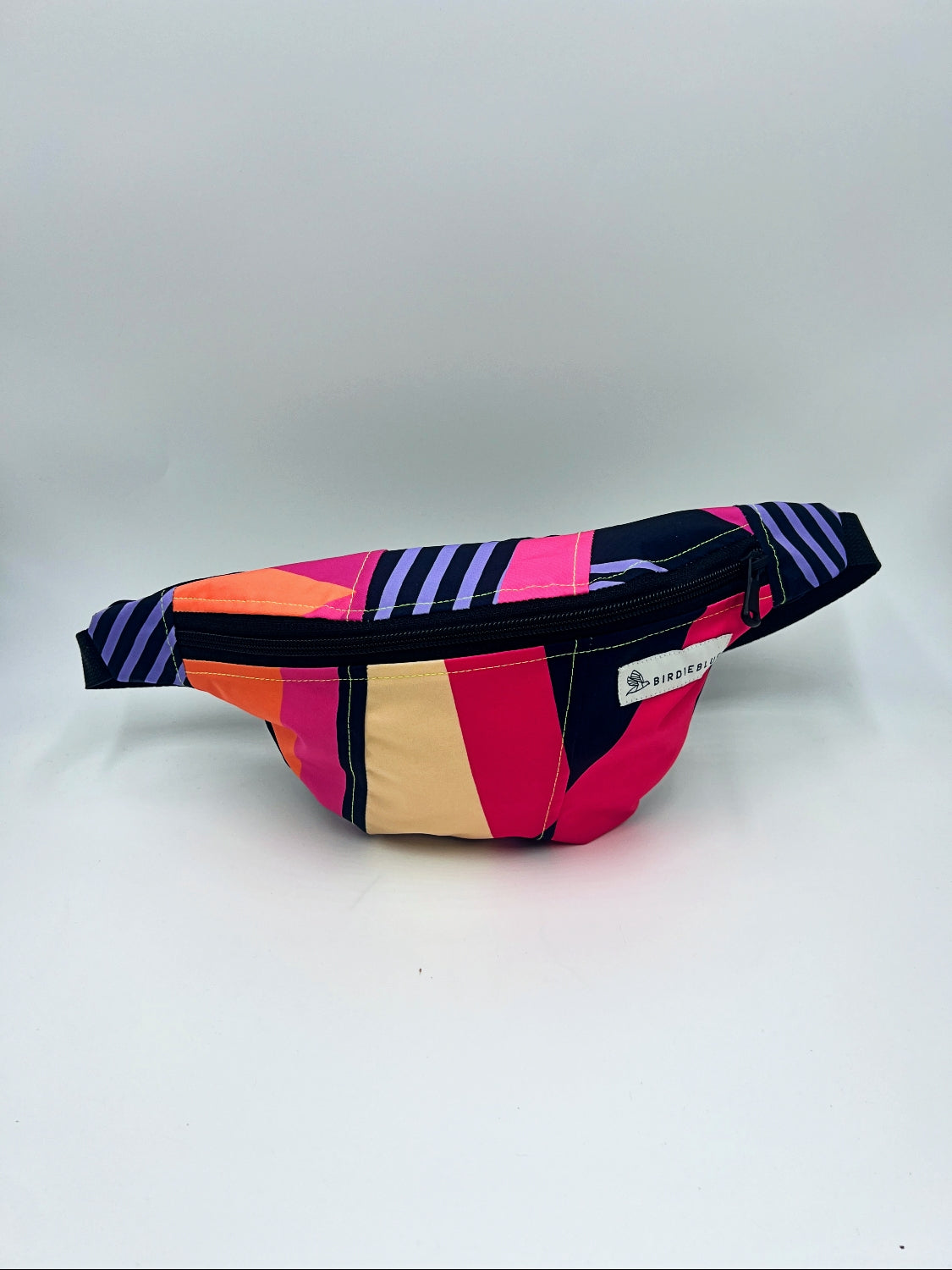 Spring Ski Fanny Packs