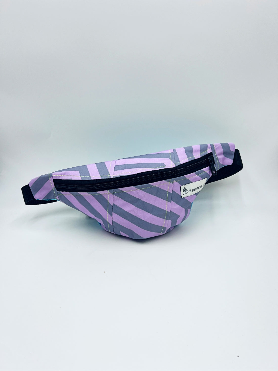 Spring Ski Fanny Packs