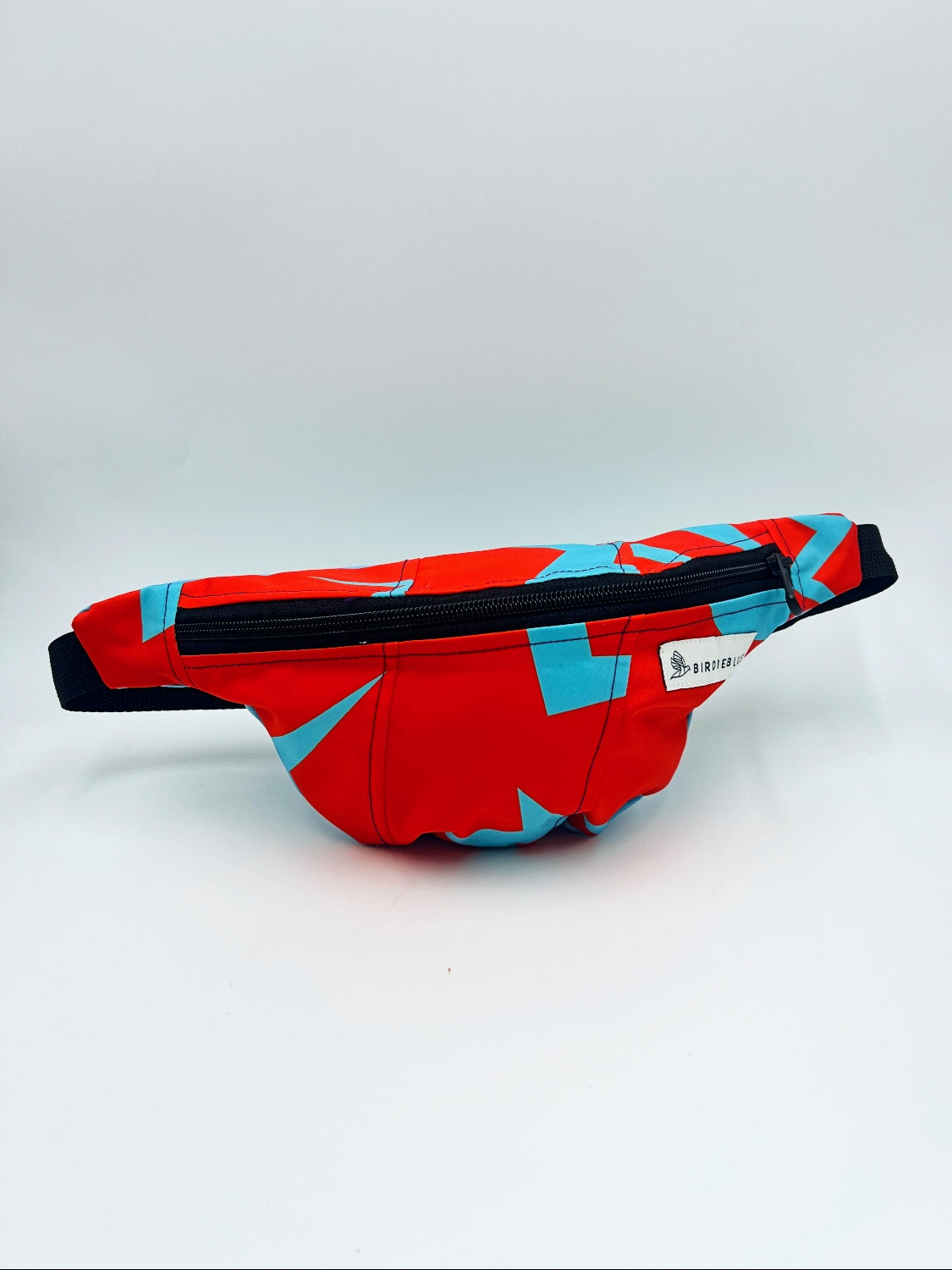 Spring Ski Fanny Packs