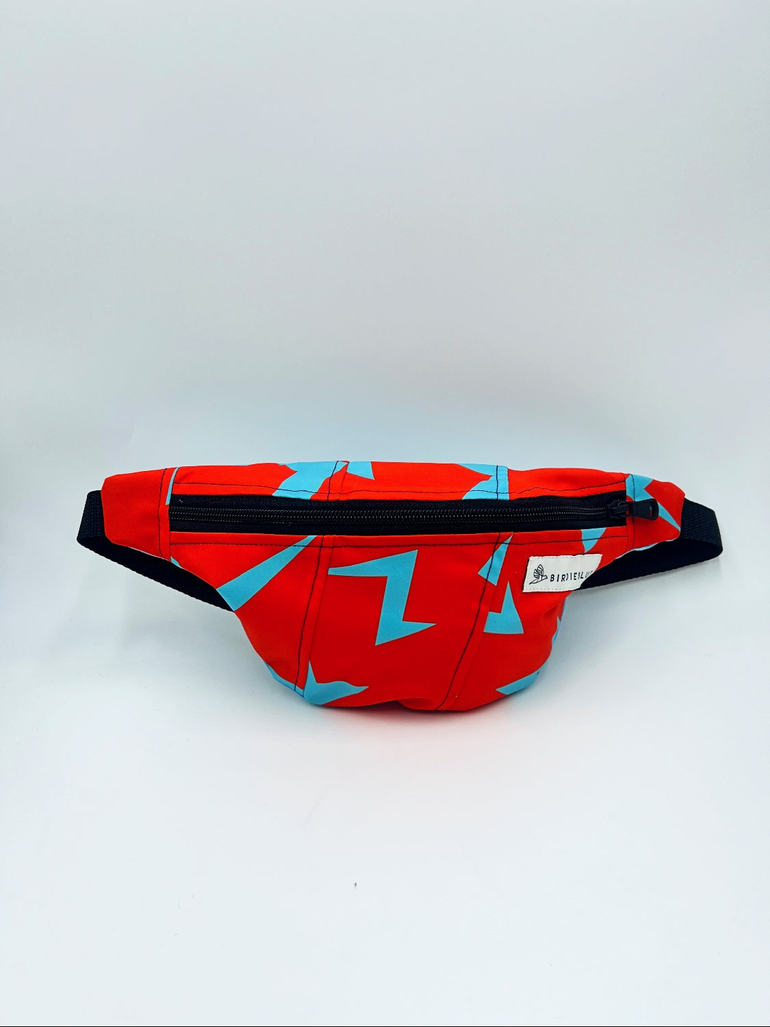 Spring Ski Fanny Packs