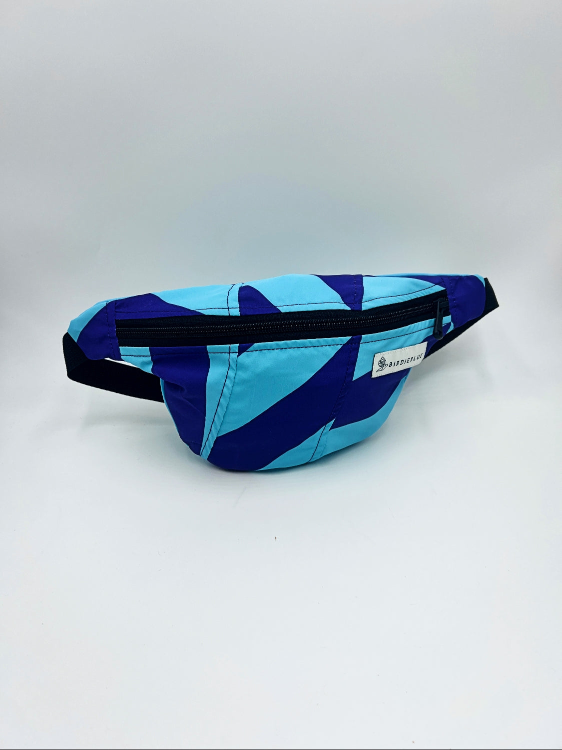 Spring Ski Fanny Packs