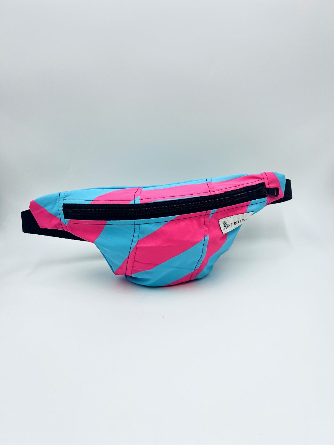 Spring Ski Fanny Packs