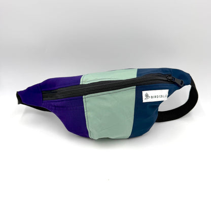 The Fanny Pack